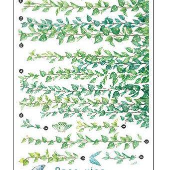 Hanging Cane Vine Wall Stickers - Green Leaves And..